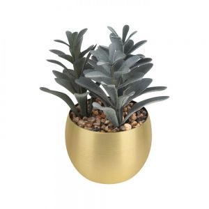 PLANTA DECORATIVA DAKAR personalizada